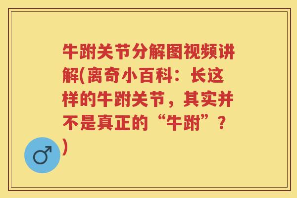 牛跗关节分解图视频讲解(离奇小百科：长这样的牛跗关节，其实并不是真正的“牛跗”？)