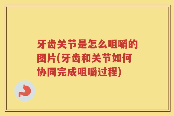 牙齿关节是怎么咀嚼的图片(牙齿和关节如何协同完成咀嚼过程) 牙齿关节是怎么咀嚼的图片(牙齿和关节如何协同完成咀嚼过程)