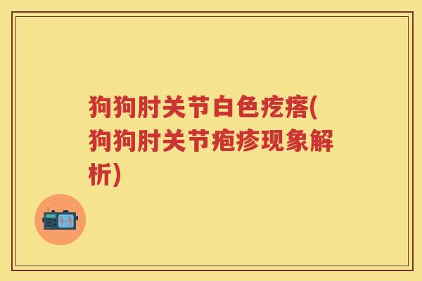 狗狗肘关节白色疙瘩(狗狗肘关节疱疹现象解析) 狗狗肘关节白色疙瘩(狗狗肘关节疱疹现象解析)