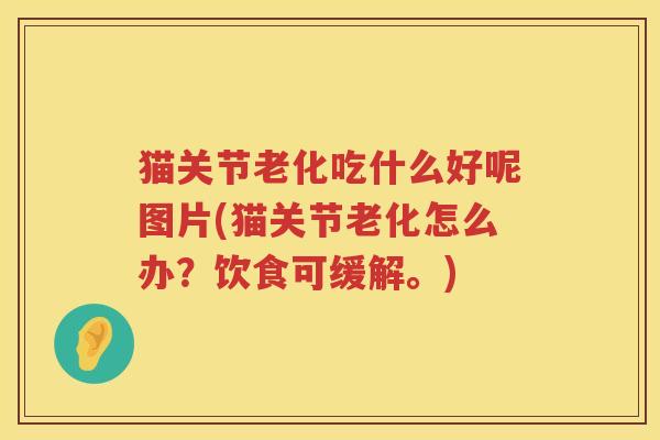 猫关节老化吃什么好呢图片(猫关节老化怎么办？饮食可缓解。)