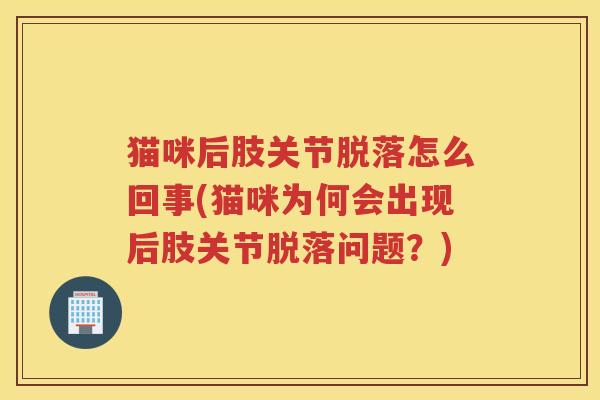 猫咪后肢关节脱落怎么回事(猫咪为何会出现后肢关节脱落问题？)