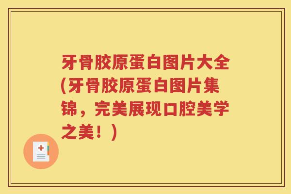 牙骨胶原蛋白图片大全(牙骨胶原蛋白图片集锦,完美展现口腔美学之美!) 牙骨胶原蛋白图片大全(牙骨胶原蛋白图片集锦,完美展现口腔美学之美!)