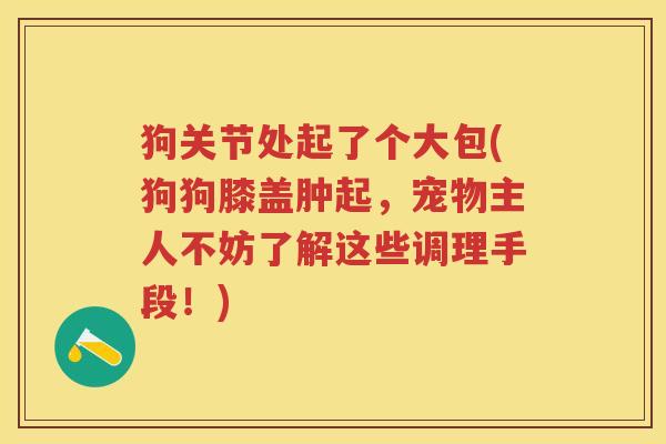 狗关节处起了个大包(狗狗膝盖肿起,宠物主人不妨了解这些调理手段!) 狗关节处起了个大包(狗狗膝盖肿起,宠物主人不妨了解这些调理手段!)