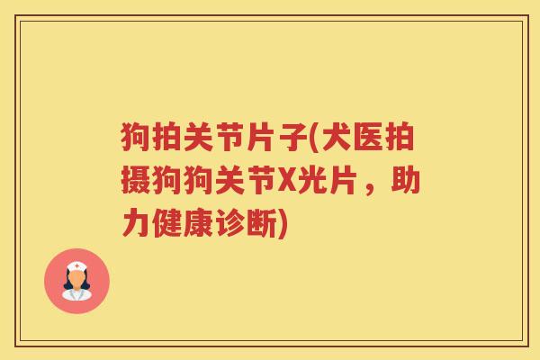 狗拍关节片子(犬医拍摄狗狗关节X光片，助力健康诊断)