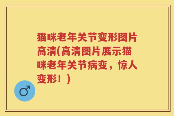 猫咪老年关节变形图片高清(高清图片展示猫咪老年关节变,惊人变形!) 猫咪老年关节变形图片高清(高清图片展示猫咪老年关节变,惊人变形!)