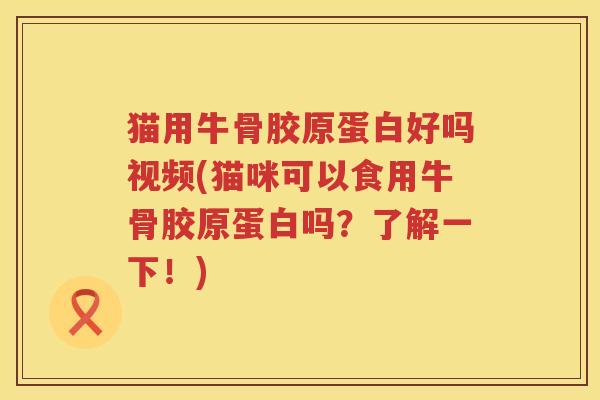 猫用牛骨胶原蛋白好吗视频(猫咪可以食用牛骨胶原蛋白吗?了解一下!) 猫用牛骨胶原蛋白好吗视频(猫咪可以食用牛骨胶原蛋白吗?了解一下!)