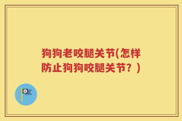 狗狗老咬腿关节(怎样防止狗狗咬腿关节？)
