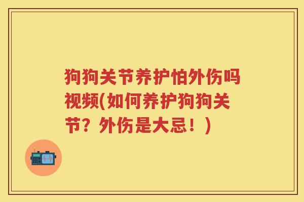 狗狗关节养护怕外伤吗视频(如何养护狗狗关节?外伤是大忌!) 狗狗关节养护怕外伤吗视频(如何养护狗狗关节?外伤是大忌!)