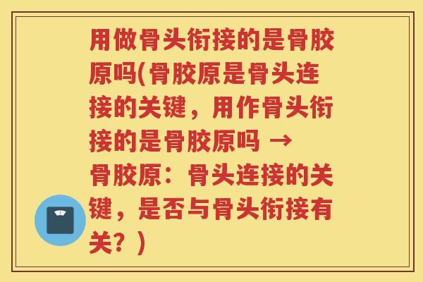 用做骨头衔接的是骨胶原吗(骨胶原是骨头连接的关键，用作骨头衔接的是骨胶原吗 → 骨胶原：骨头连接的关键，是否与骨头衔接有关？)