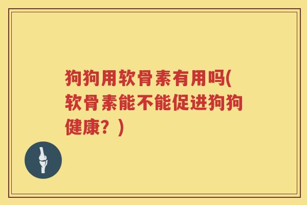 狗狗用软骨素有用吗(软骨素能不能促进狗狗健康？)