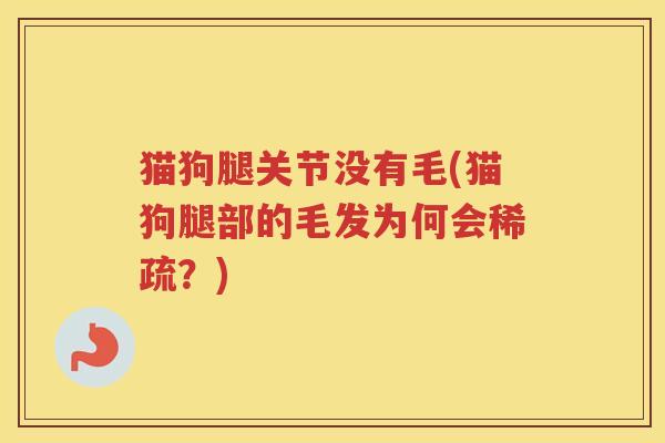 猫狗腿关节没有毛(猫狗腿部的毛发为何会稀疏?) 猫狗腿关节没有毛(猫狗腿部的毛发为何会稀疏?)