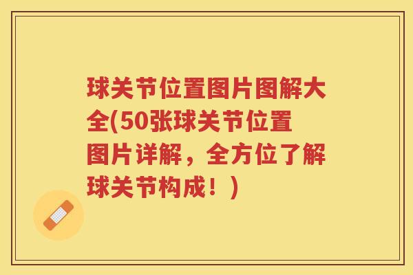 球关节位置图片图解大全(50张球关节位置图片详解,全方位了解球关节构成!) 球关节位置图片图解大全(50张球关节位置图片详解,全方位了解球关节构成!)