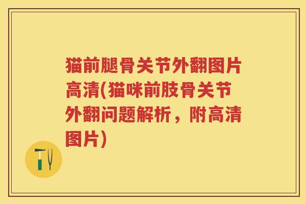 猫前腿骨关节外翻图片高清(猫咪前肢骨关节外翻问题解析，附高清图片)