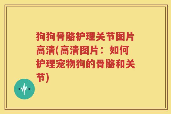 狗狗骨骼护理关节图片高清(高清图片：如何护理宠物狗的骨骼和关节)