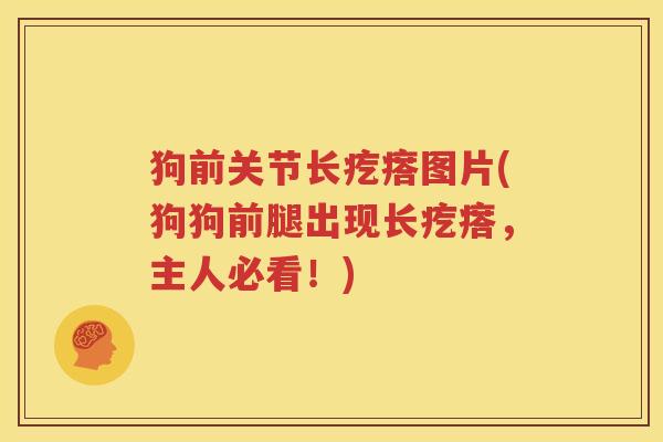 狗前关节长疙瘩图片(狗狗前腿出现长疙瘩，主人必看！)