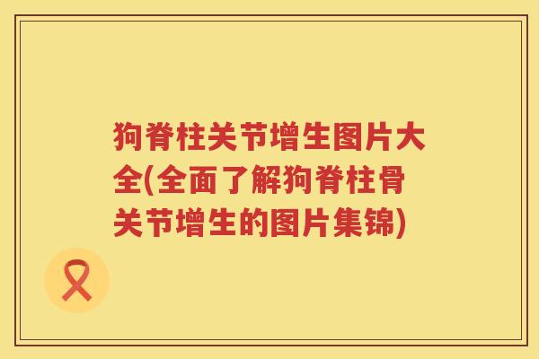 狗脊柱关节增生图片大全(全面了解狗脊柱骨关节增生的图片集锦) 狗脊柱关节增生图片大全(全面了解狗脊柱骨关节增生的图片集锦)