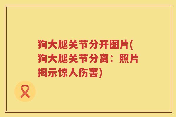 狗大腿关节分开图片(狗大腿关节分离:照片揭示惊人伤害) 狗大腿关节分开图片(狗大腿关节分离:照片揭示惊人伤害)