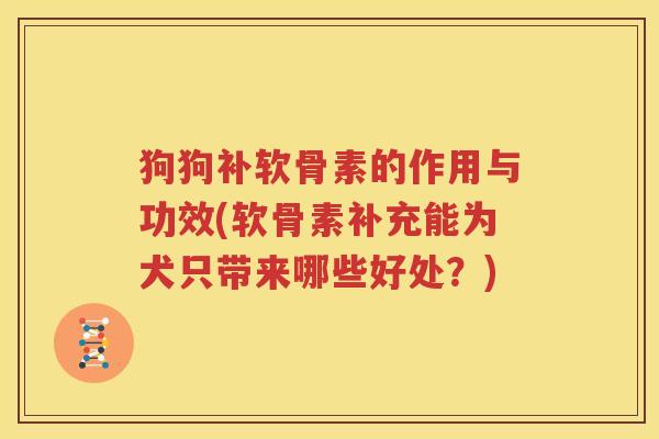 狗狗补软骨素的作用与功效(软骨素补充能为犬只带来哪些好处?) 狗狗补软骨素的作用与功效(软骨素补充能为犬只带来哪些好处?)