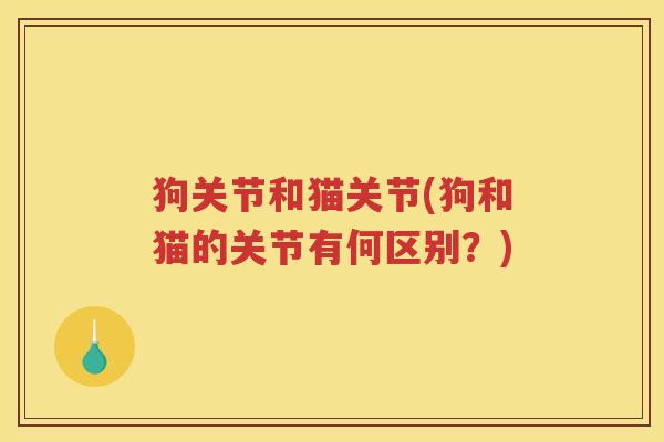 狗关节和猫关节(狗和猫的关节有何区别?) 狗关节和猫关节(狗和猫的关节有何区别?)
