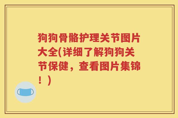 狗狗骨骼护理关节图片大全(详细了解狗狗关节保健，查看图片集锦！)