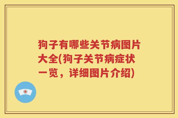 狗子有哪些关节图片大全(狗子关节症状一览,详细图片介绍) 狗子有哪些关节图片大全(狗子关节症状一览,详细图片介绍)