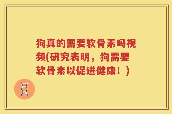 狗真的需要软骨素吗视频(研究表明,狗需要软骨素以促进健康!) 狗真的需要软骨素吗视频(研究表明,狗需要软骨素以促进健康!)
