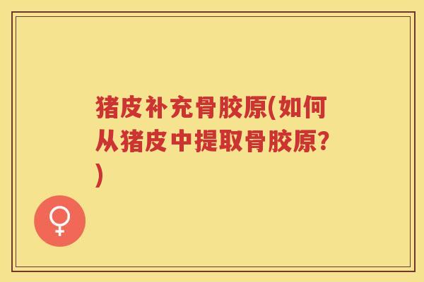 猪皮补充骨胶原(如何从猪皮中提取骨胶原？)