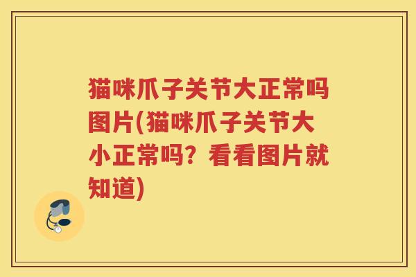 猫咪爪子关节大正常吗图片(猫咪爪子关节大小正常吗?看看图片就知道) 猫咪爪子关节大正常吗图片(猫咪爪子关节大小正常吗?看看图片就知道)