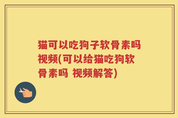 猫可以吃狗子软骨素吗视频(可以给猫吃狗软骨素吗 视频解答)