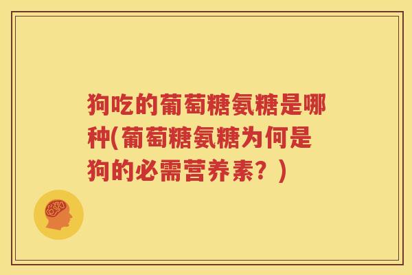 狗吃的葡萄糖氨糖是哪种(葡萄糖氨糖为何是狗的必需营养素？)