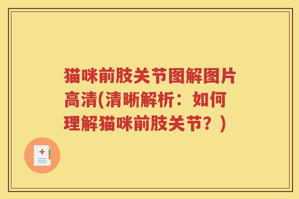 猫咪前肢关节图解图片高清(清晰解析：如何理解猫咪前肢关节？)