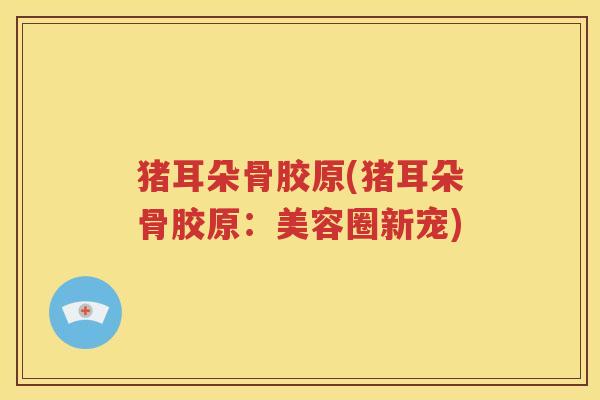 猪耳朵骨胶原(猪耳朵骨胶原:美容圈新宠) 猪耳朵骨胶原(猪耳朵骨胶原:美容圈新宠)