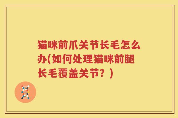猫咪前爪关节长毛怎么办(如何处理猫咪前腿长毛覆盖关节？)