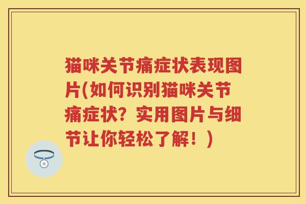 猫咪关节痛症状表现图片(如何识别猫咪关节痛症状？实用图片与细节让你轻松了解！)