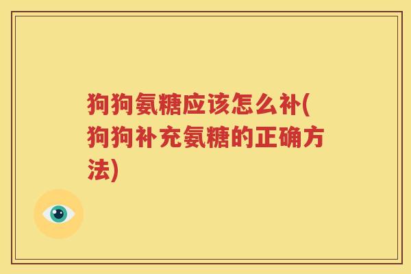 狗狗氨糖应该怎么补(狗狗补充氨糖的正确方法)