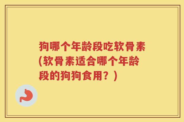 狗哪个年龄段吃软骨素(软骨素适合哪个年龄段的狗狗食用?) 狗哪个年龄段吃软骨素(软骨素适合哪个年龄段的狗狗食用?)