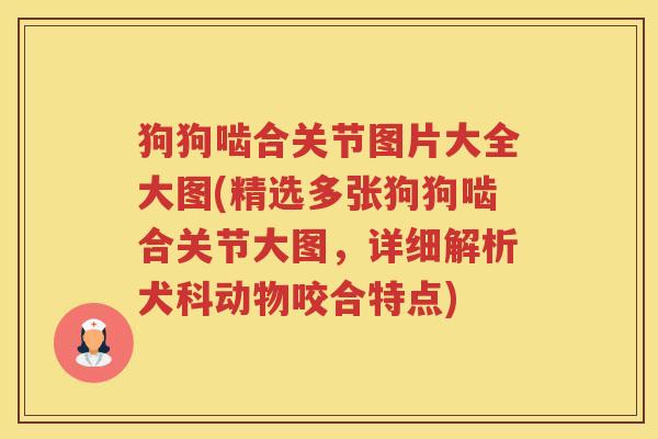 狗狗啮合关节图片大全大图(精选多张狗狗啮合关节大图,详细解析犬科动物咬合特点) 狗狗啮合关节图片大全大图(精选多张狗狗啮合关节大图,详细解析犬科动物咬合特点)