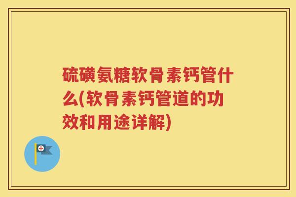 硫磺氨糖软骨素钙管什么(软骨素钙管道的功效和用途详解)