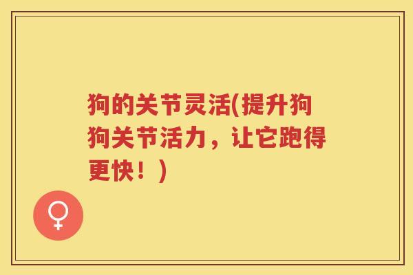 狗的关节灵活(提升狗狗关节活力,让它跑得更快!) 狗的关节灵活(提升狗狗关节活力,让它跑得更快!)