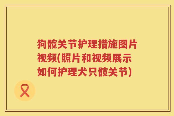 狗髋关节护理措施图片视频(照片和视频展示如何护理犬只髋关节)