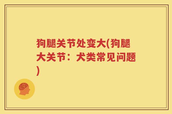 狗腿关节处变大(狗腿大关节：犬类常见问题)