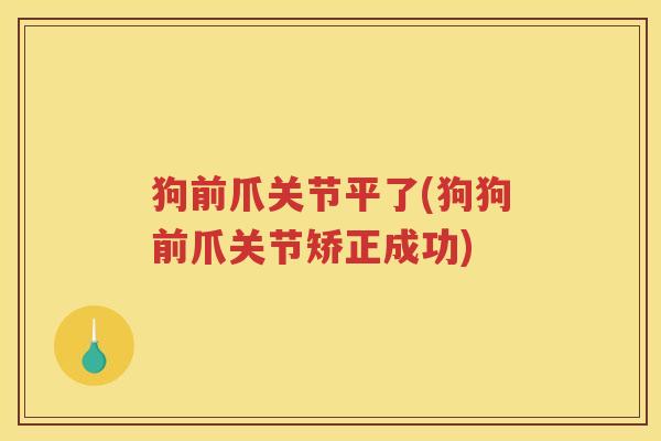 狗前爪关节平了(狗狗前爪关节矫正成功) 狗前爪关节平了(狗狗前爪关节矫正成功)
