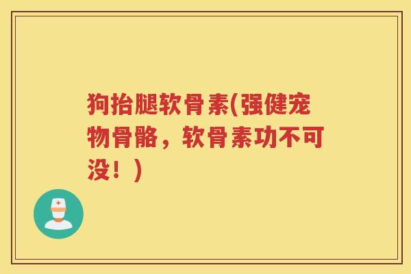 狗抬腿软骨素(强健宠物骨骼，软骨素功不可没！)