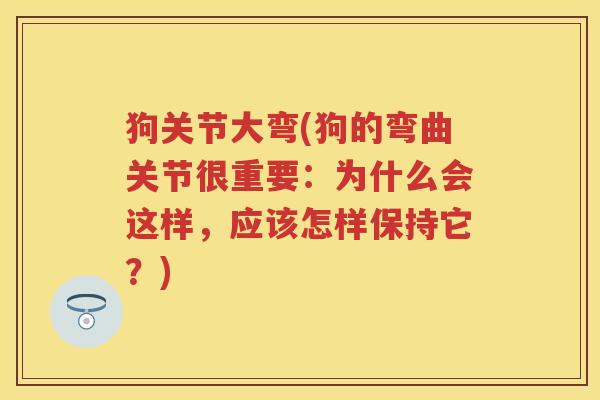 狗关节大弯(狗的弯曲关节很重要:为什么会这样,应该怎样保持它?) 狗关节大弯(狗的弯曲关节很重要:为什么会这样,应该怎样保持它?)