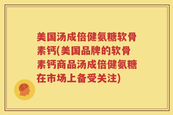 美国汤成倍健氨糖软骨素钙(美国品牌的软骨素钙商品汤成倍健氨糖在市场上备受关注)