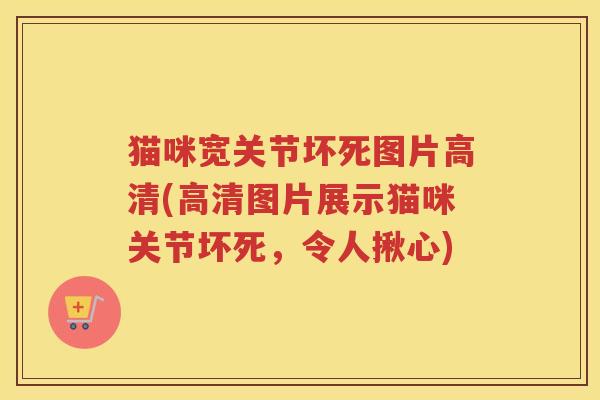 猫咪宽关节坏死图片高清(高清图片展示猫咪关节坏死,令人揪心) 猫咪宽关节坏死图片高清(高清图片展示猫咪关节坏死,令人揪心)