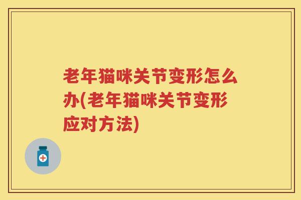 老年猫咪关节变形怎么办(老年猫咪关节变形应对方法) 老年猫咪关节变形怎么办(老年猫咪关节变形应对方法)