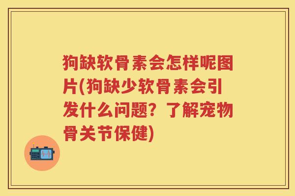 狗缺软骨素会怎样呢图片(狗缺少软骨素会引发什么问题？了解宠物骨关节保健)