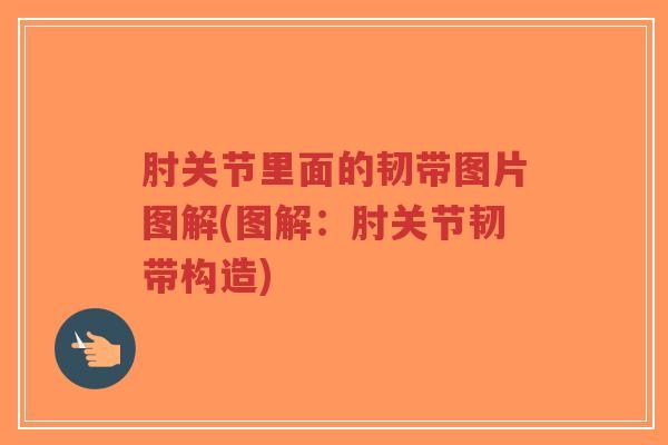 肘关节里面的韧带图片图解(图解:肘关节韧带构造) 肘关节里面的韧带图片图解(图解:肘关节韧带构造)