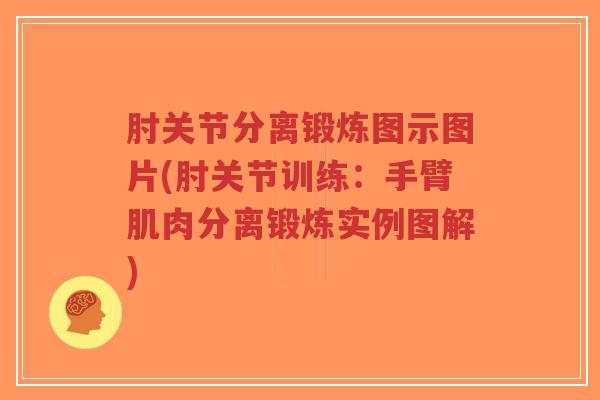 肘关节分离锻炼图示图片(肘关节训练：手臂肌肉分离锻炼实例图解)